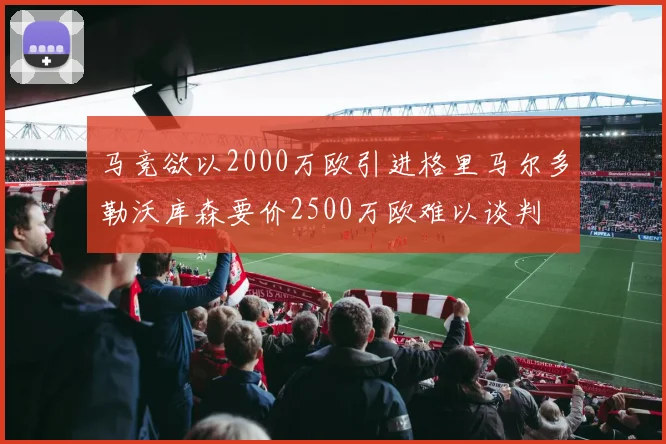 马竞欲以2000万欧引进格里马尔多勒沃库森要价2500万欧难以谈判