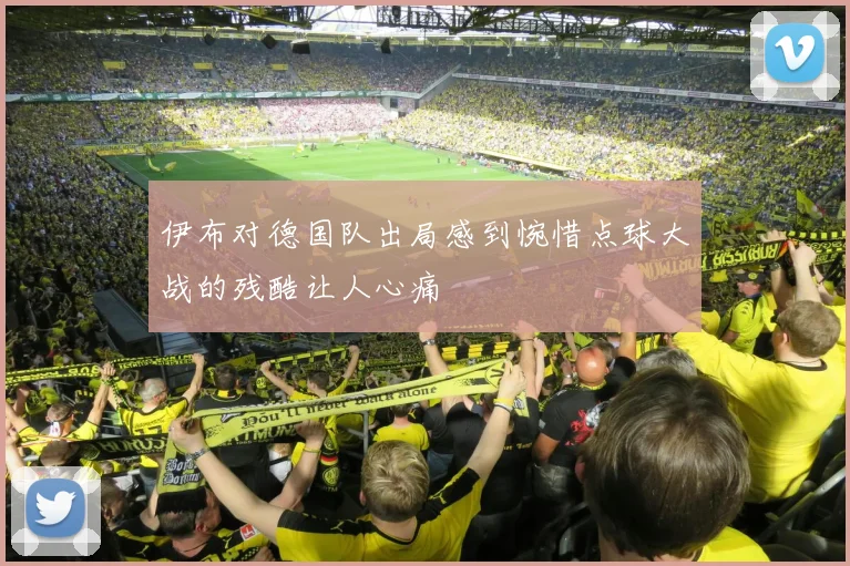 伊布对德国队出局感到惋惜点球大战的残酷让人心痛