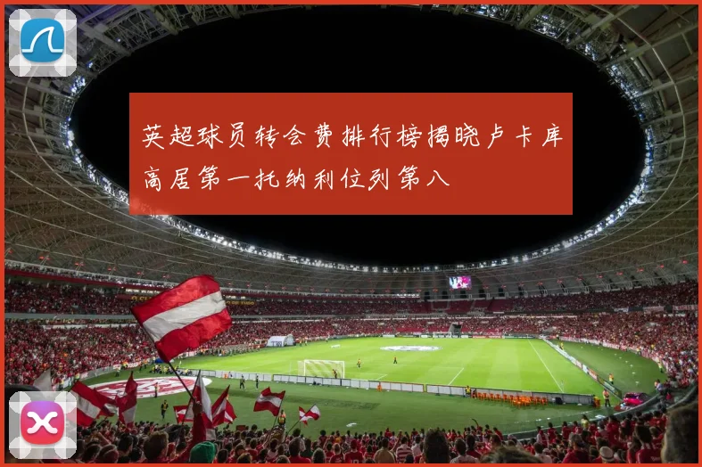 英超球员转会费排行榜揭晓卢卡库高居第一托纳利位列第八